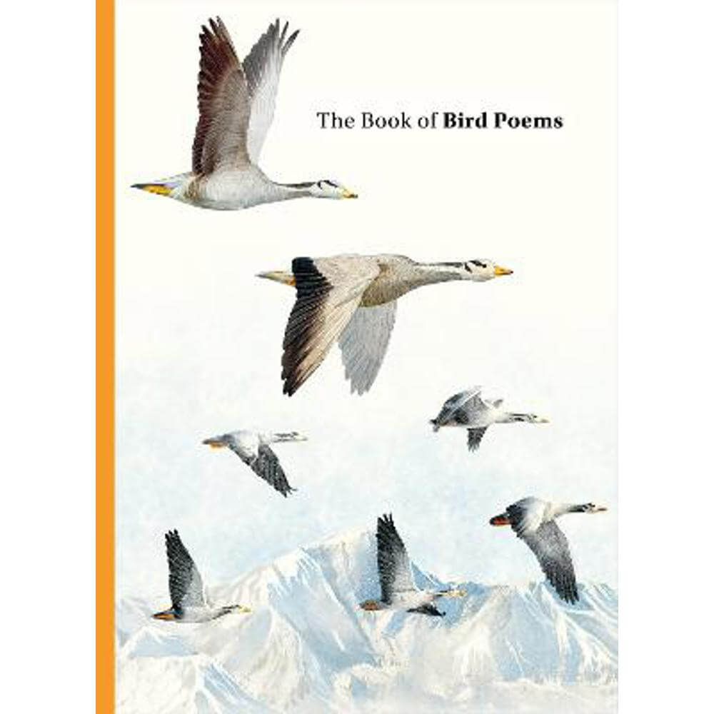 The Book of Bird Poems (Hardback) - Ana Sampson